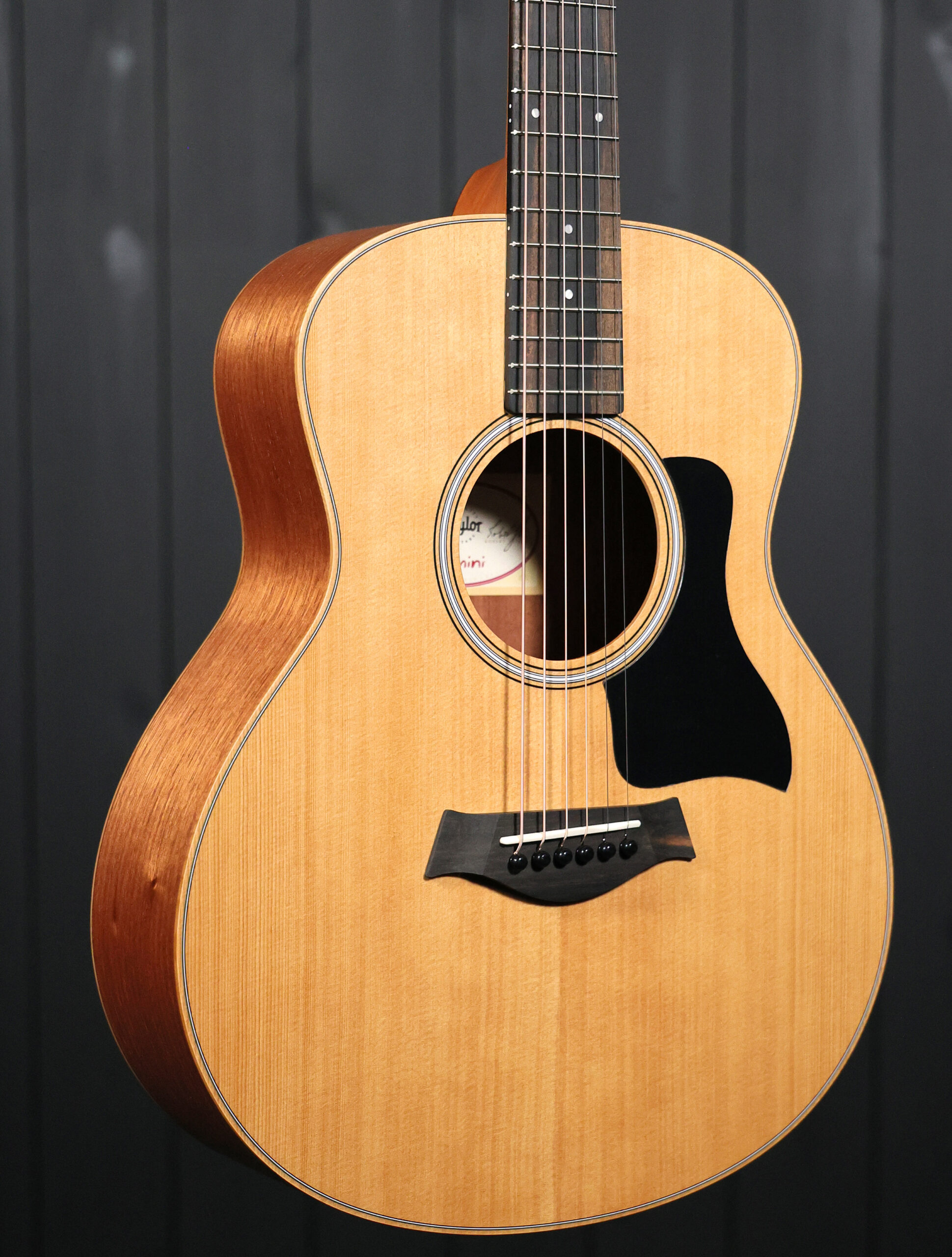 Taylor GS Mini Sapele - Image 2