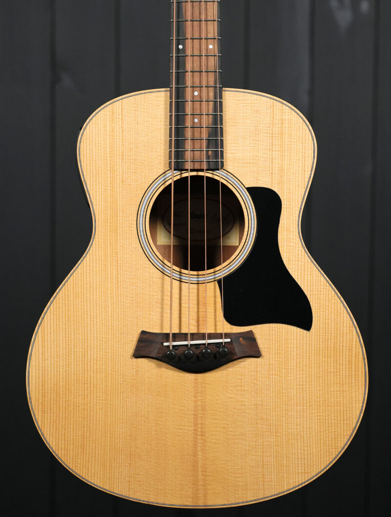 Taylor GS Mini-e Bass