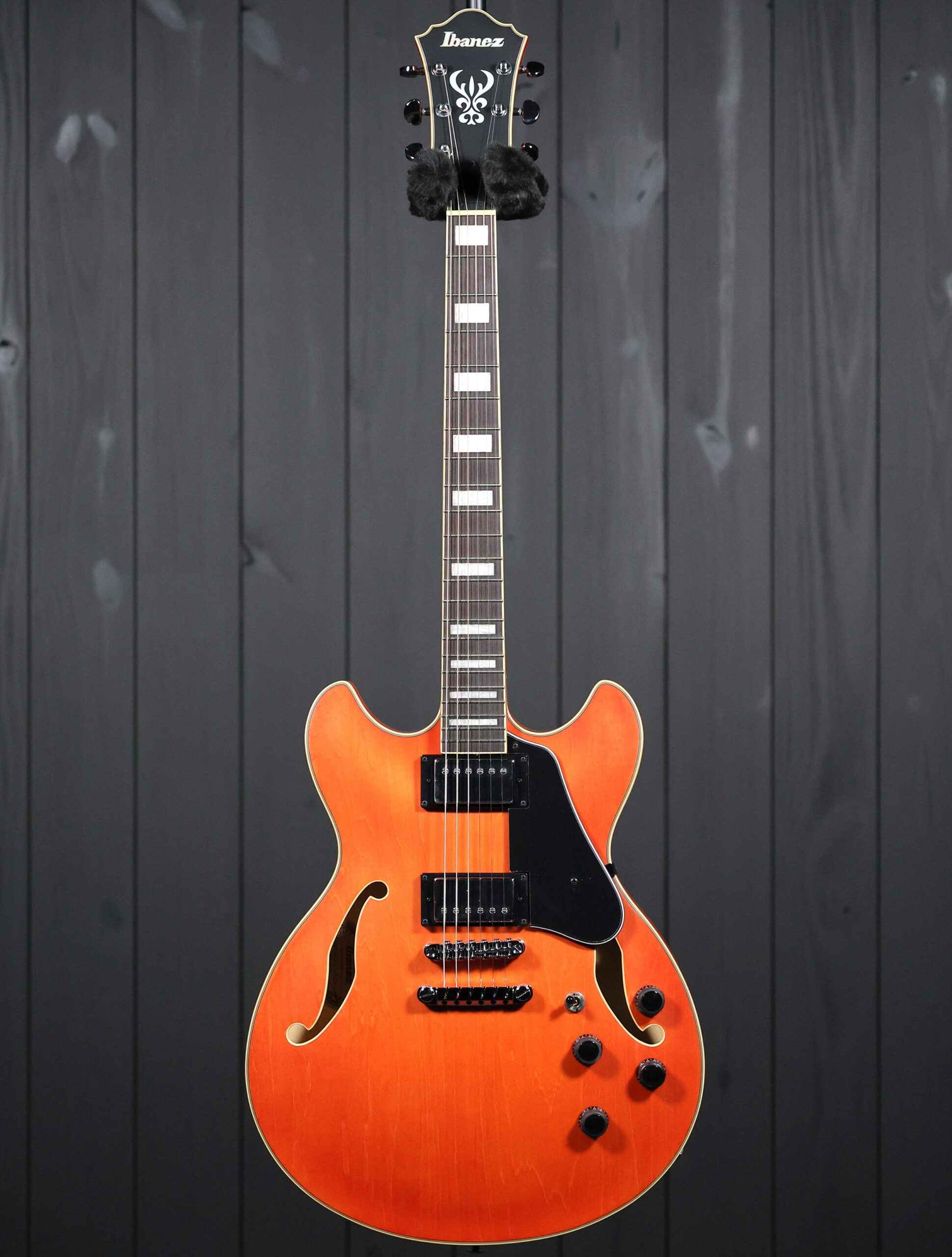 Ibanez AS73 - Image 4