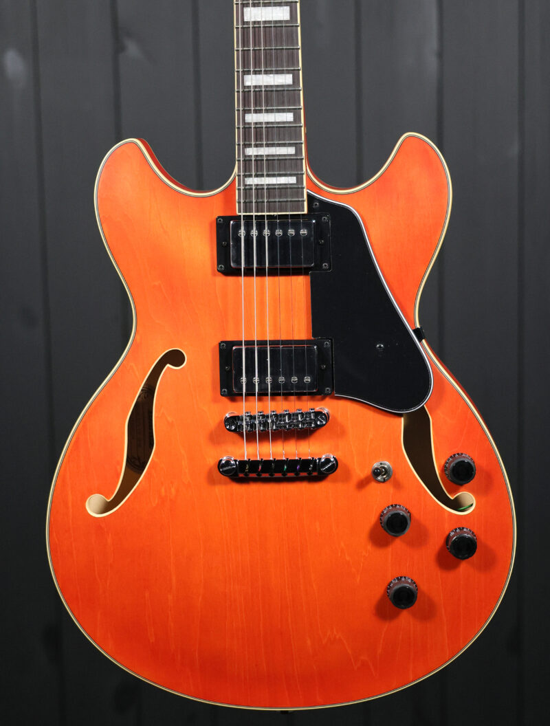 Ibanez AS73