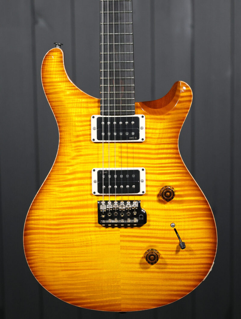 PRS Custom 24 "Birds of a Feather" Limited Edition