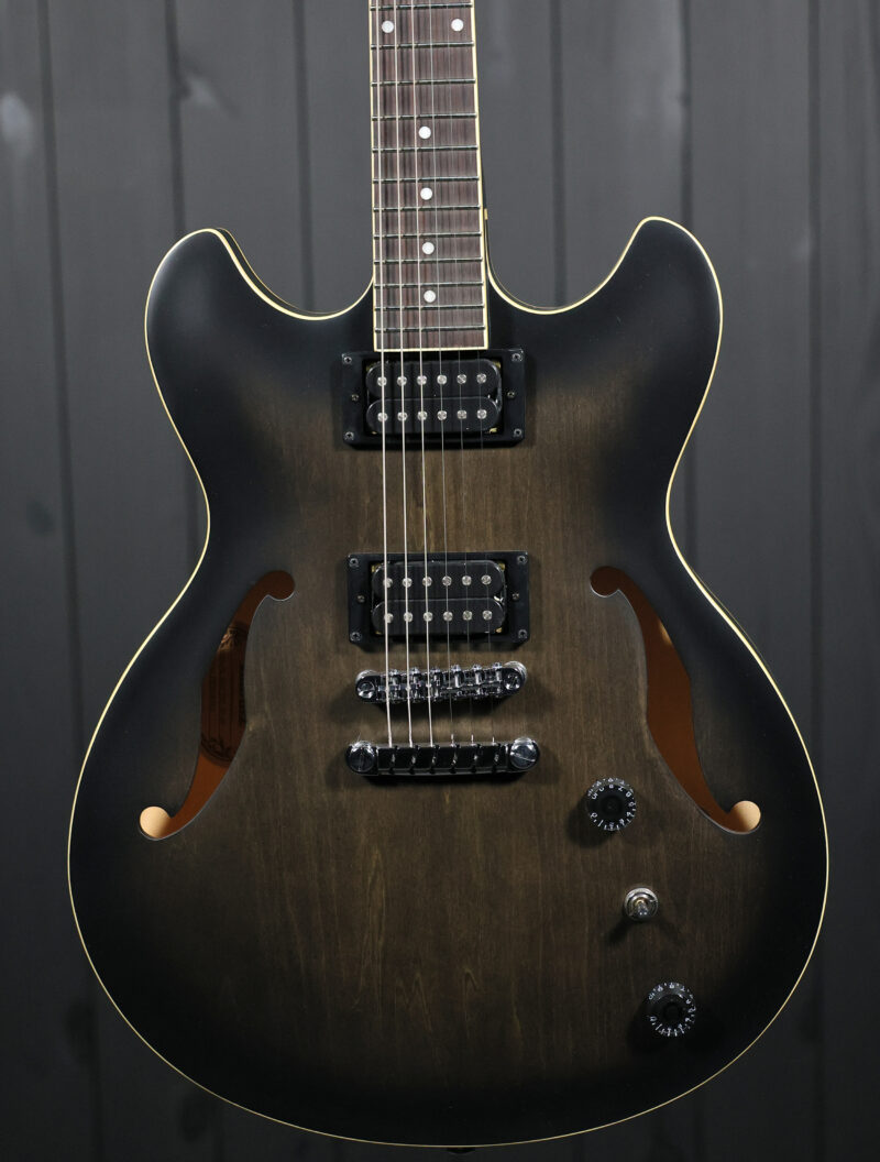 Ibanez AS53