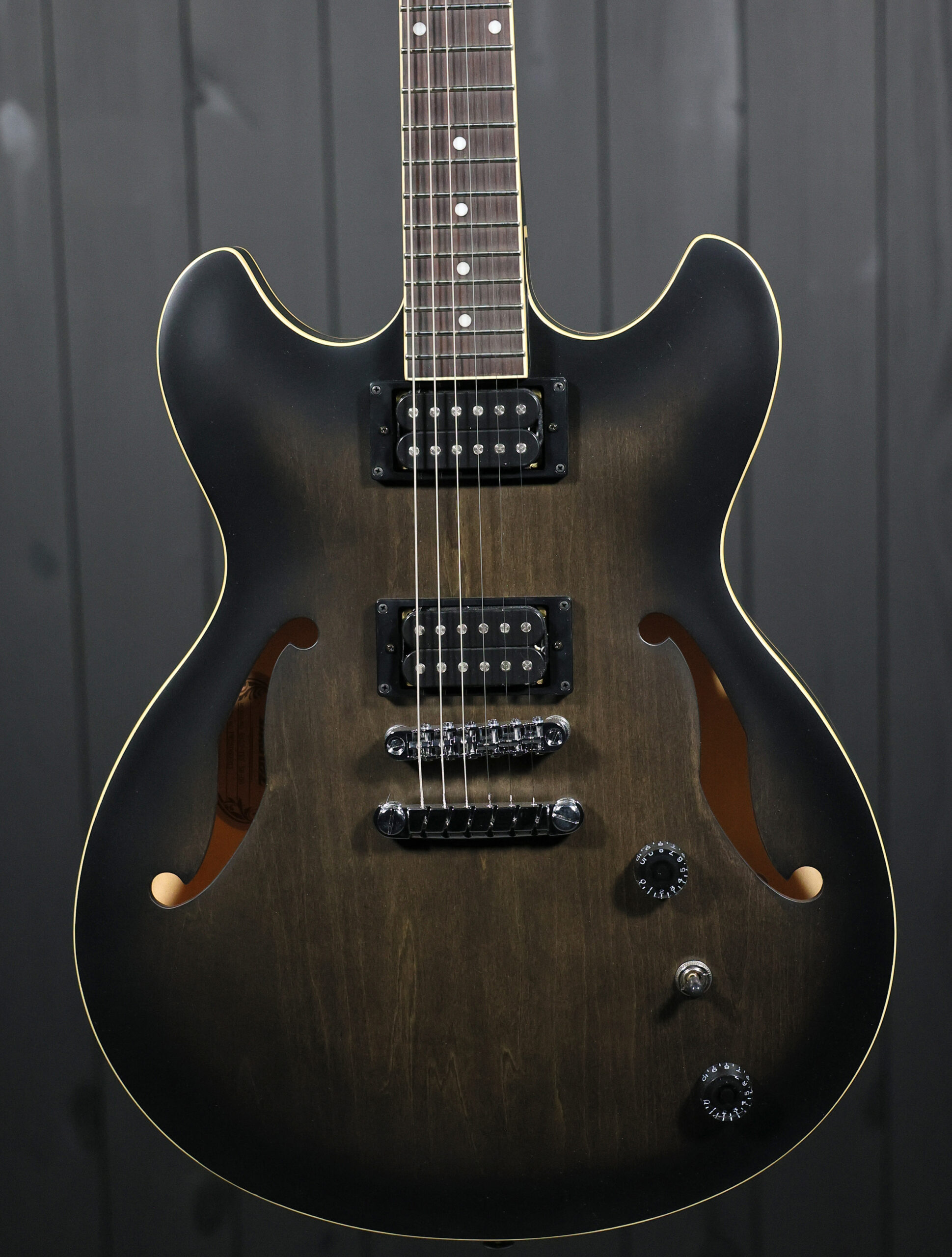 Ibanez AS53