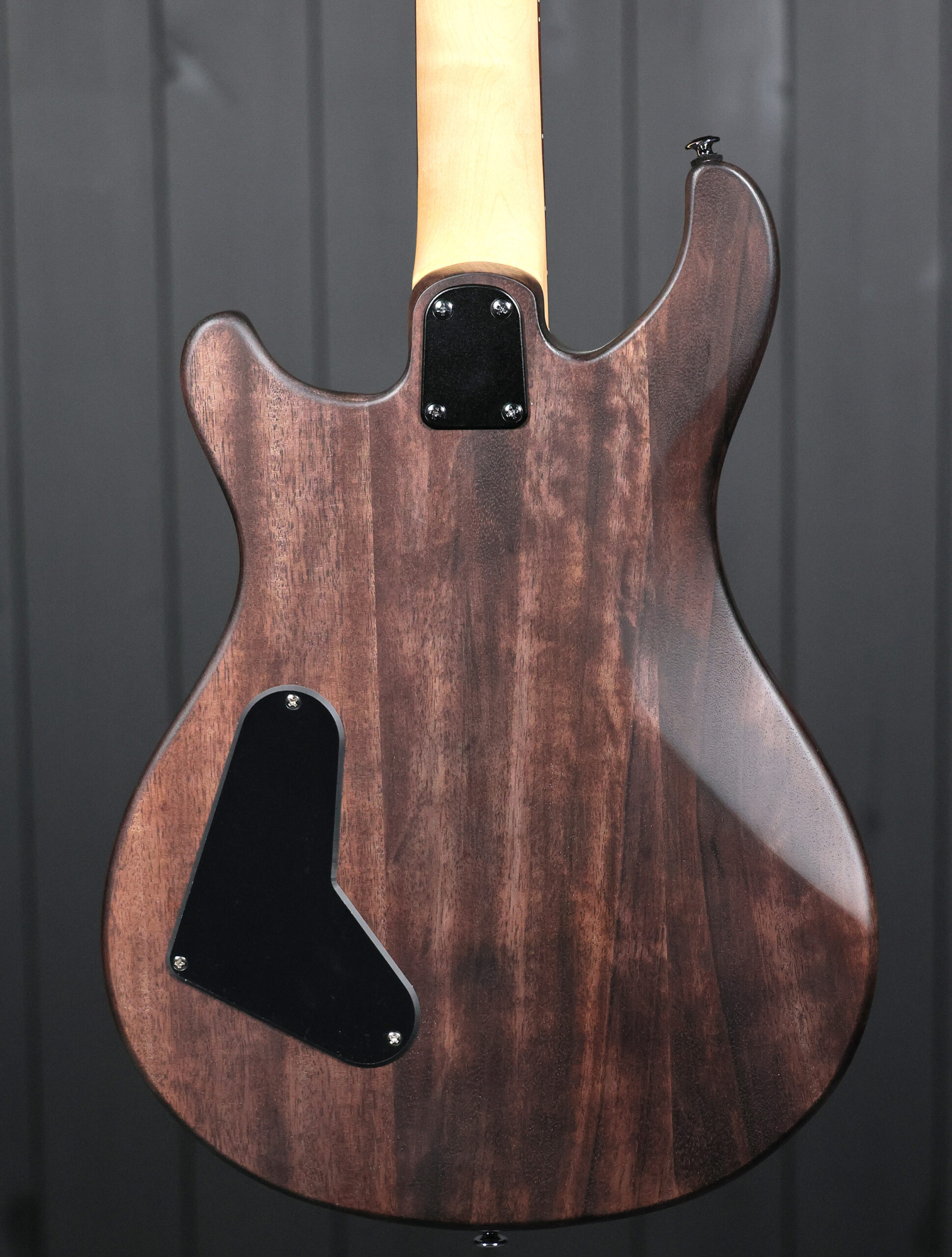 PRS SE CE24 Standard Stoptail Satin - Image 5